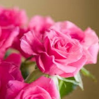 MSham11202's profile picture. 