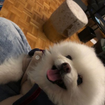 muting161163's profile picture. 每天跟聖經有約會，這是我的必備功課
 想認識更多信主的小夥伴 一起分享主的恩典和奇妙