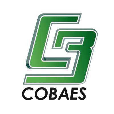 COBAES_07 Profile Picture