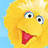 bigbird116915