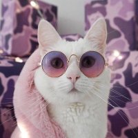 azulco 🍂 (@azulcorrosivo) 's Twitter Profile Photo