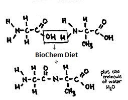 BioChemDiet's profile picture. Rouge Biochemist fighting faulty drug & medical info w/ science of nutrition & supplements. I follow back.