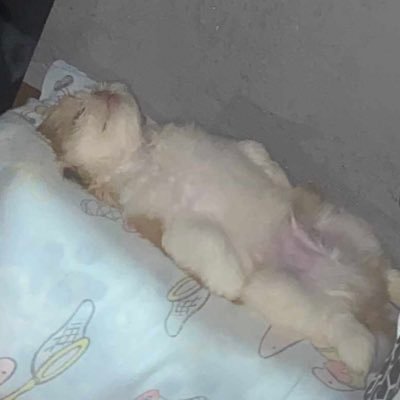 naotenhotwitero's profile picture. nacu