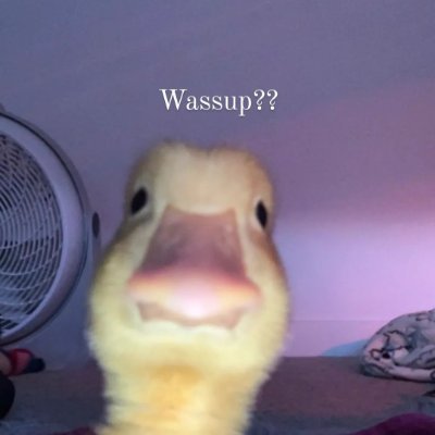 im00cookie's profile picture. Just here until I figure out what I’m doing.