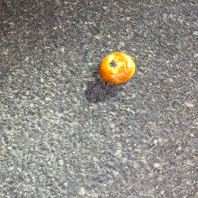 ウンコカーで行こう、目的地は無い