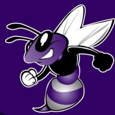 official Twitter for Deep Creek high school, lady hornets. Playtime is over, its the big league now.