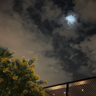 saso_8e's profile picture. 