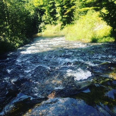 JoshCrawley13's profile picture. 