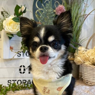るーるるるさんのプロフィール画像