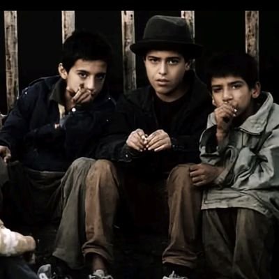 zagros36's profile picture. Felsefe Sosyoloji Tarih