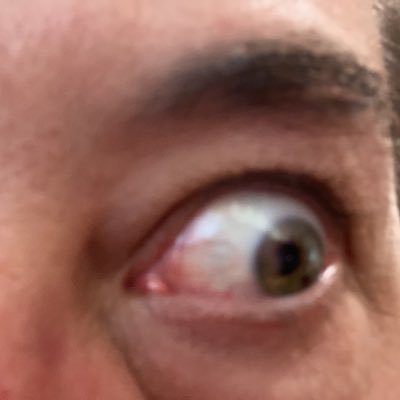 OliveriaShawn's profile picture. Father, husband, lover of truth which comes from God. I love people but will call out liars and evil doers.