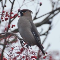 Paul Langley (@paul_langley80) 's Twitter Profile