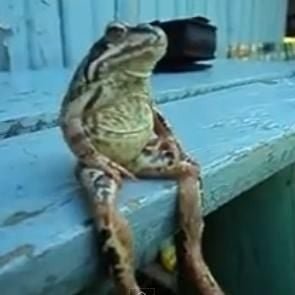 RCubed66's profile picture. 🐷🟪
https://t.co/cS70FsrH0A