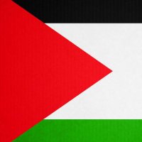 Ejerzor de derechos humanos (@ejerzordeddhh) 's Twitter Profile