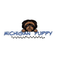Michigan Puppy(@MichiganPuppy) 's Twitter Profile Photo