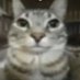 macc (@machvh) Twitter profile photo macc (@machvh) Twitter profile photo