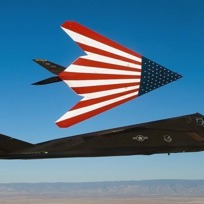 A gay liberal F-117 Nighthawk | Like/RT =/= Endorsement