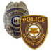 St. Louis County PD (@stlcountypd) Twitter profile photo