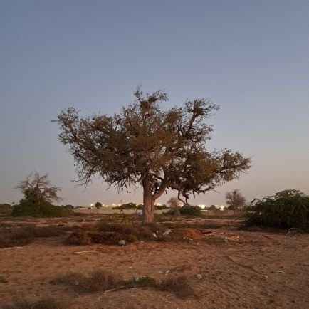 nurernobishomra's profile picture. 