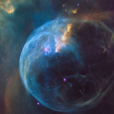 AliceInAction's profile picture. 