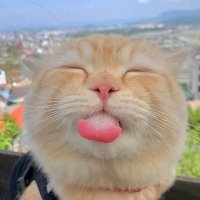 มมม 💙🌊🏝《SMILEY》 (@m_sr2542) 's Twitter Profile