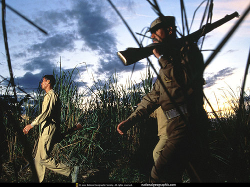 IrleIr03340's profile picture. 