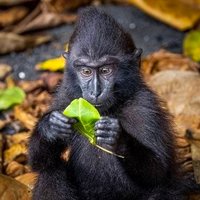 Jen W (@jkuca14) 's Twitter Profile