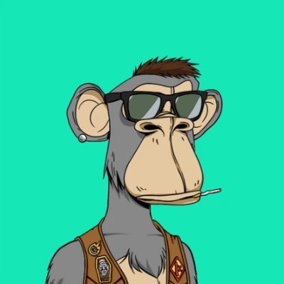 UlrikeKam24771's profile picture. 