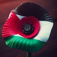 #BDS #GazaGenocide Physics don't stop for politics (@lordofintent) 's Twitter Profile Photo #BDS #GazaGenocide Physics don't stop for politics (@lordofintent) 's Twitter Profile Photo