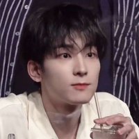 pretty wonwoo ✨ (@mwkimbap) 's Twitter Profile