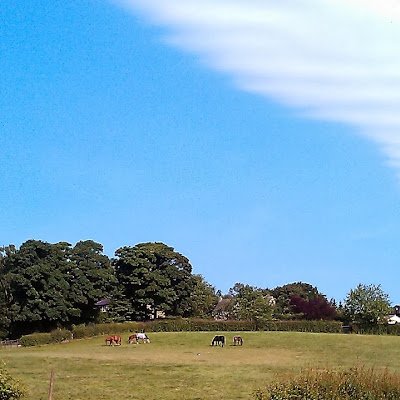 TimWhitake54690's profile picture. 