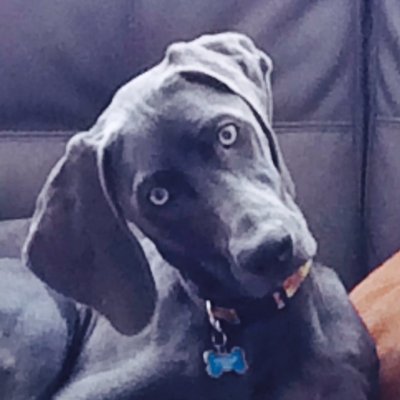 JELiddicoat's profile picture. Wisconsin Sports Enthusiast... for better or worse!