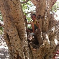 محمد الحميدي (@mhm51733) Twitter profile photo