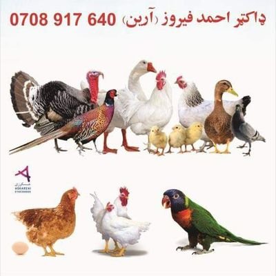 Kalar Veterinary Clinic For Poultry