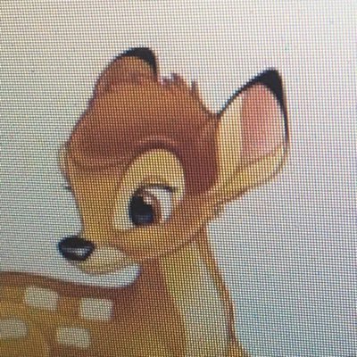 xnxcrush's profile picture. 