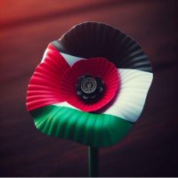 christine chance #enough is enough🍉🕊🌿 🇵🇸 (@chancette) 's Twitter Profile