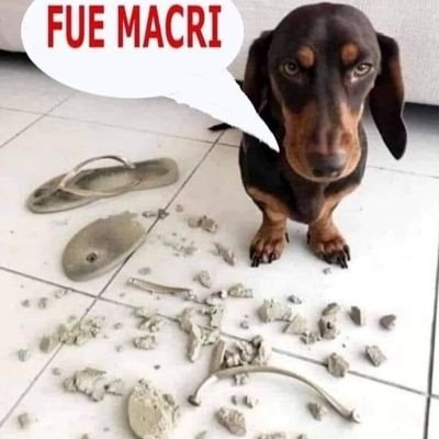 Abogado.
Ex Afiliado Al PRO.
Me Traicionaron : Los Primos Macri, Ritondo Y Santilli, Entre Otros.
Cuenta Soporte De @Bostero6CopasL
Socio Vitalicio De Boca.
