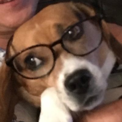 SigsbeeVon's profile picture. 