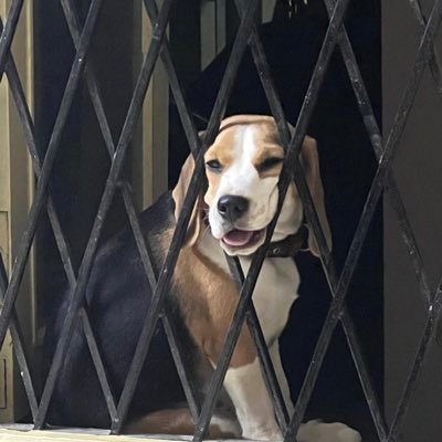 chennai_talxie's profile picture. likes tennis