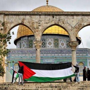 joo_bashar's profile picture. فلسطين حرة🇵🇸