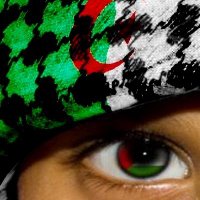 Ali Moussa 🇩🇿🇵🇸 (@alimoussa_dz) 's Twitter Profile Photo Ali Moussa 🇩🇿🇵🇸 (@alimoussa_dz) 's Twitter Profile Photo