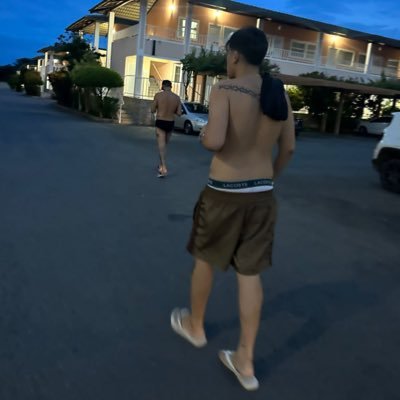 Callllel's profile picture. 🐊