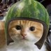 ca (@tpijaktaykoceng) Twitter profile photo ca (@tpijaktaykoceng) Twitter profile photo