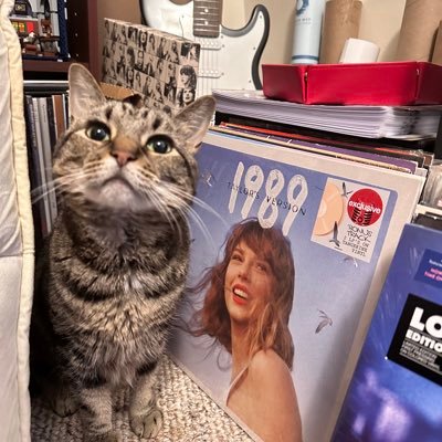 elderswiftie85's profile picture. She/Her/Hers; Overall Nerd and Senior Swiftie (30+); LV N2, Seattle N1 and Indy N2.