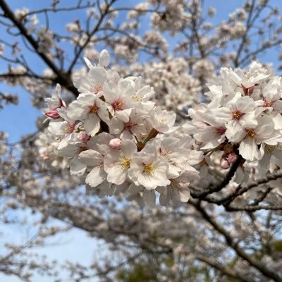 現役webライター💻日々勉強の毎日😳 トレーディングカード、建設関係が得意!その他のジャンルも随時勉強中🤗#webライター #副業 #webデザイナー #仕事 #ライターと繋がりたい