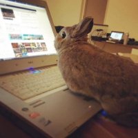 Loppi (@loppi) Twitter profile photo