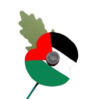 Mansoor Bangash (@bangash_mansoor) 's Twitter Profile Photo Mansoor Bangash (@bangash_mansoor) 's Twitter Profile Photo