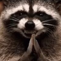 mattmokhtar's profile picture. pewpewpew 🔫🔫🔫