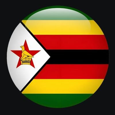 Proud of my heritage 🌎
Brave and Strong
Aiming for a brighter future 🌄
PatrioticZimbabwean🇿🇼🇿🇼