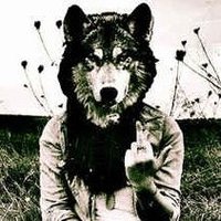 🐾 𝐋𝑜O'T̾ 🐺 (@loo_stick) 's Twitter Profile Photo 🐾 𝐋𝑜O'T̾ 🐺 (@loo_stick) 's Twitter Profile Photo
